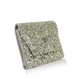 Latoya Small Glitter Purse - Silver image