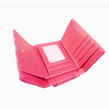 Striped Scallop Purse -  Fuschia image