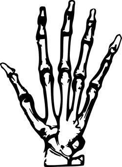 Digital High Five